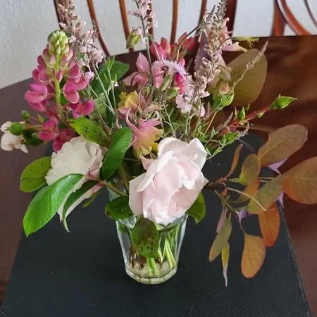 With Bo * קופנהגן