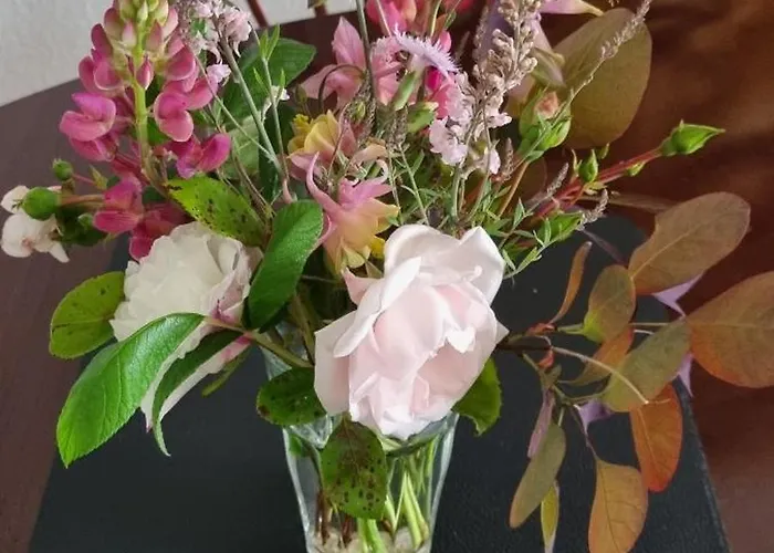 With Bo * Kopenhagen