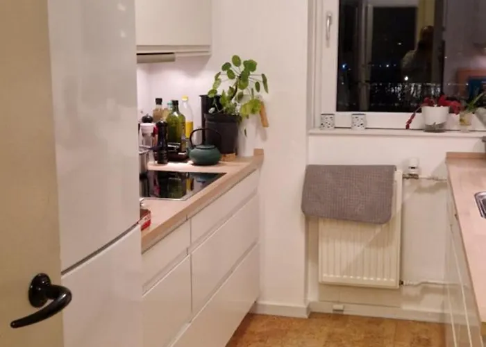 With Bo * Copenhagen